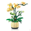 Orchidées Jaunes