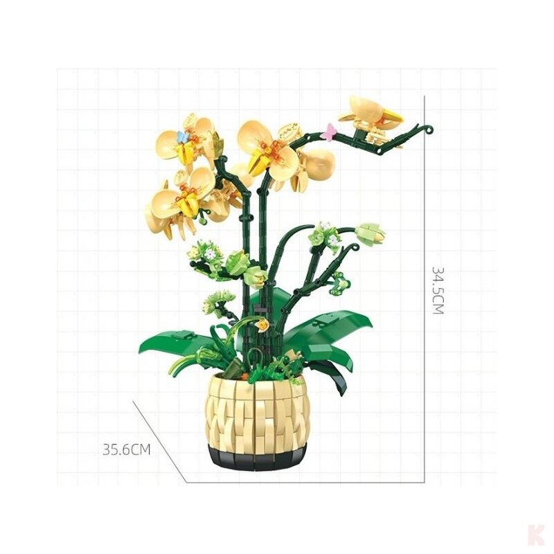 Orchidées Jaunes