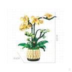 Orchidées Jaunes
