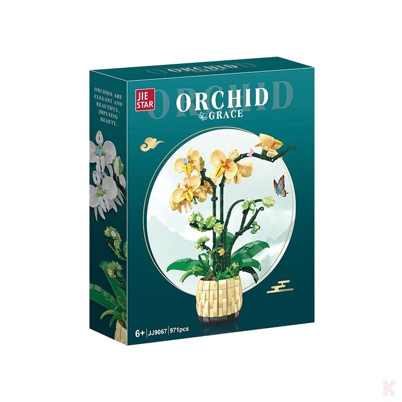 Orchidées Jaunes
